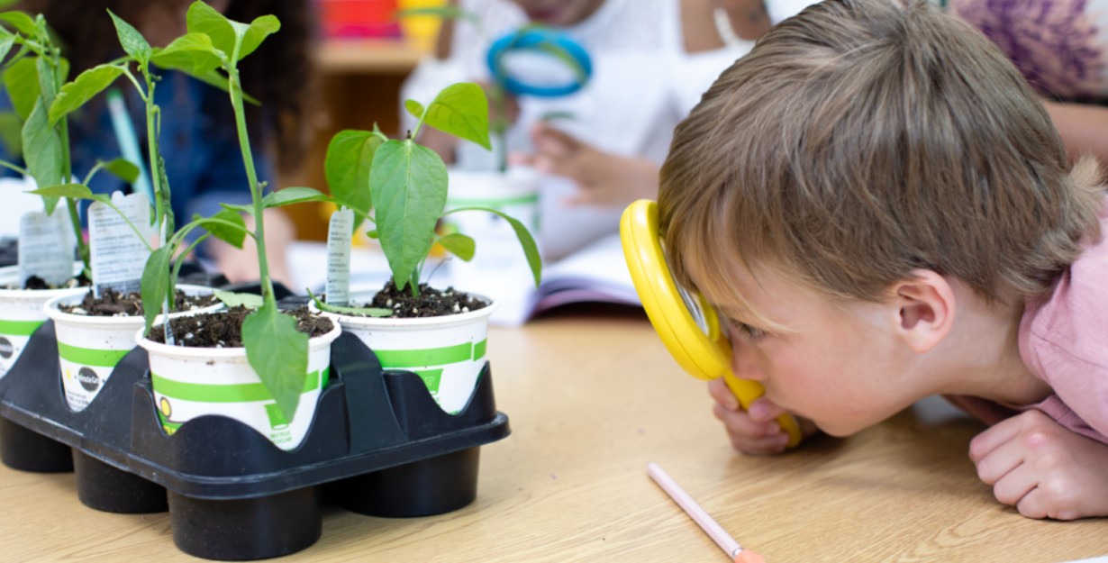 CBSE Grade 4 Mathematics - Exam Prep